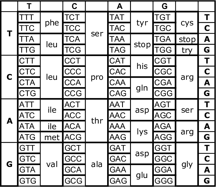 Genetic Code